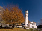 20071101_114510 Faggio e chiesa di S.Bernardo.jpg